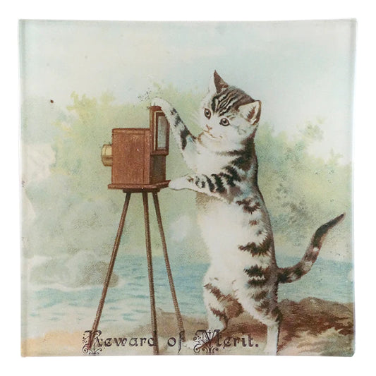 John Derian 'Reward of Merit (Cat)' 6" Square Tray