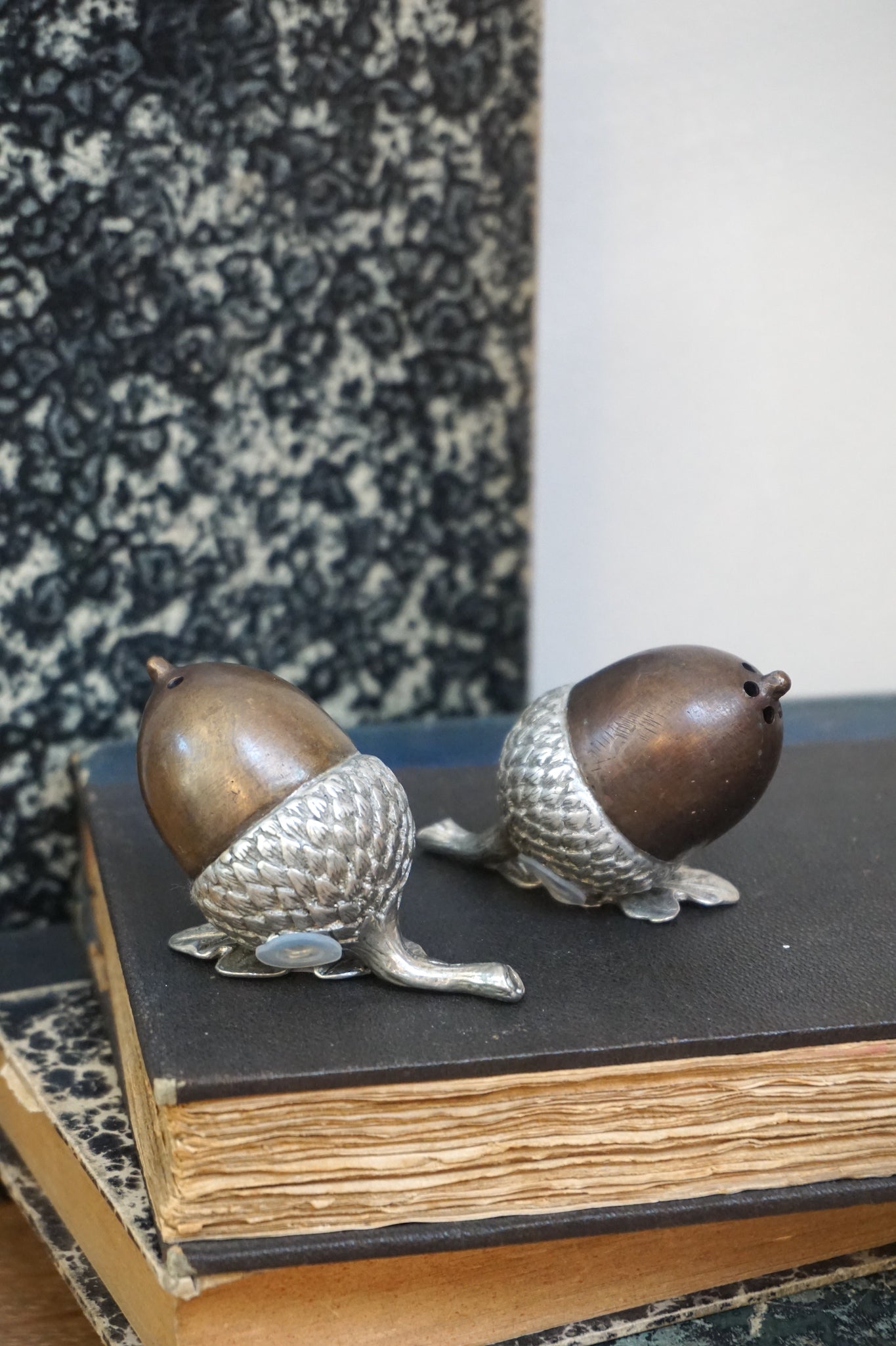 Pewter and Brass Acorn Salt and Pepper Shakers