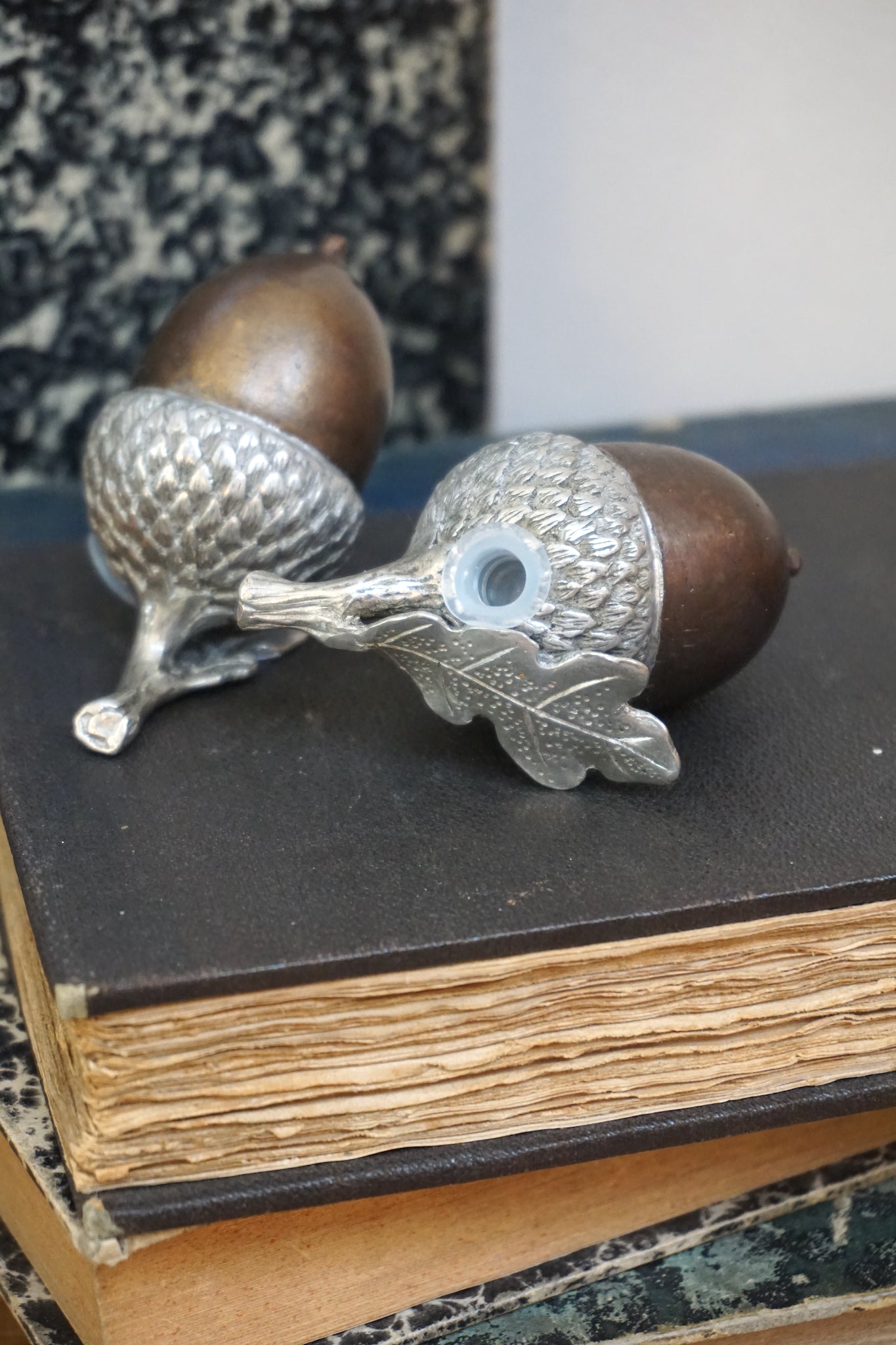 Pewter and Brass Acorn Salt and Pepper Shakers