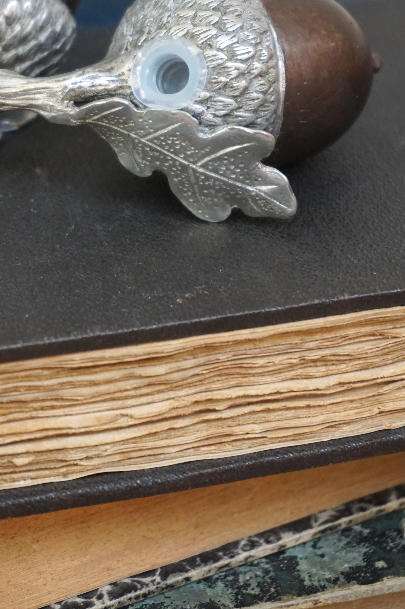 Pewter and Brass Acorn Salt and Pepper Shakers