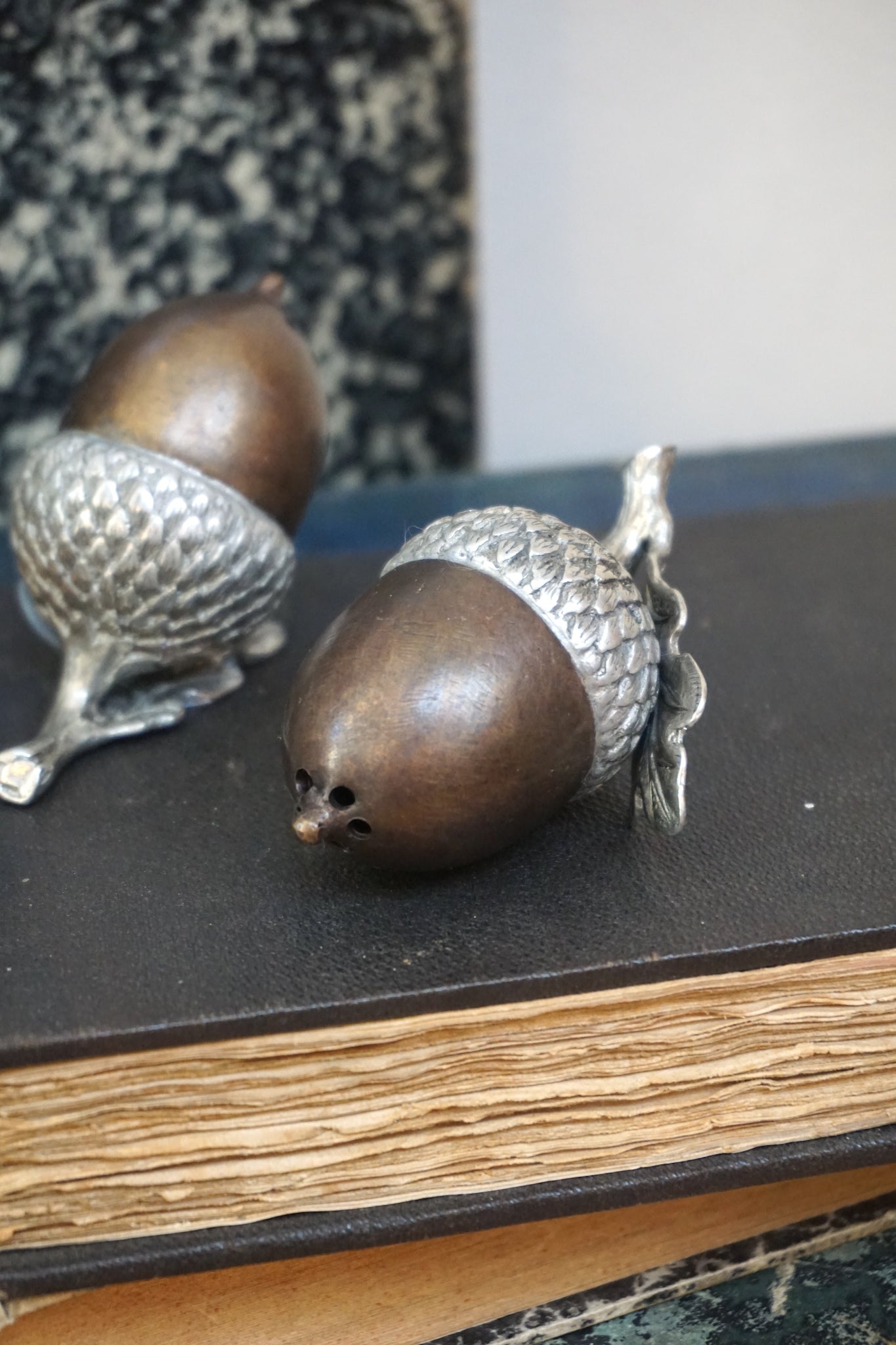 Pewter and Brass Acorn Salt and Pepper Shakers