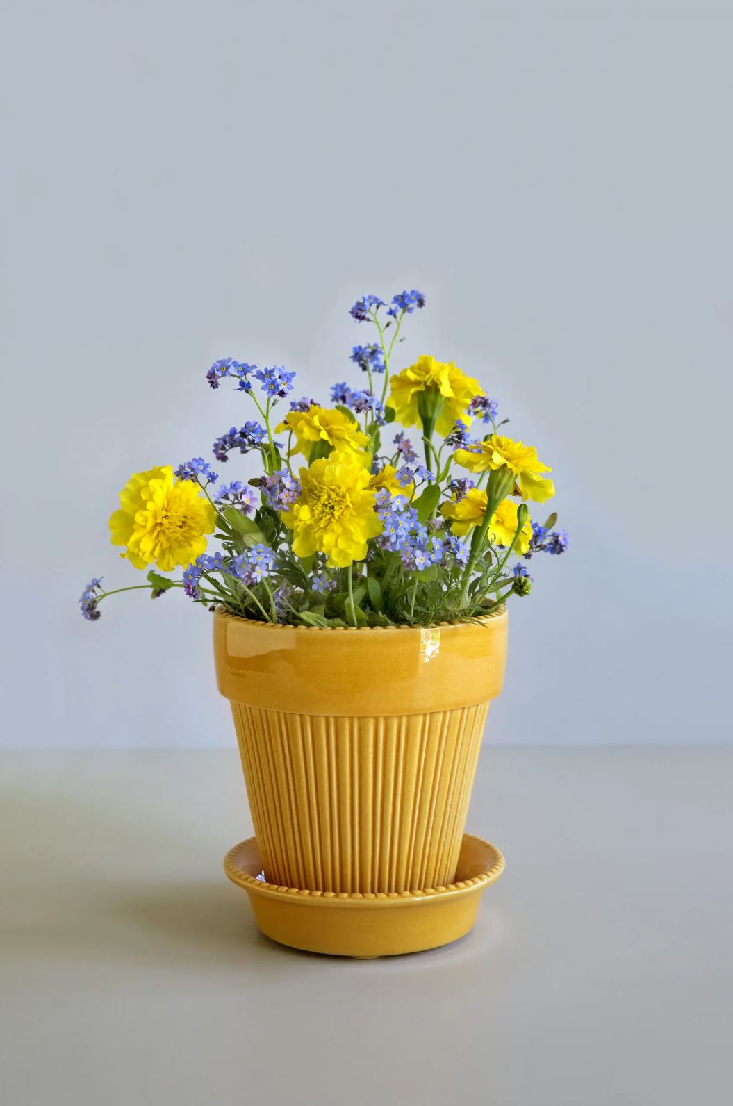 Bergs Potter 'Simona' Pot - Amber Yellow Glaze